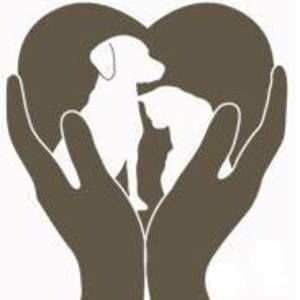 Meet your Posher, Jenifer